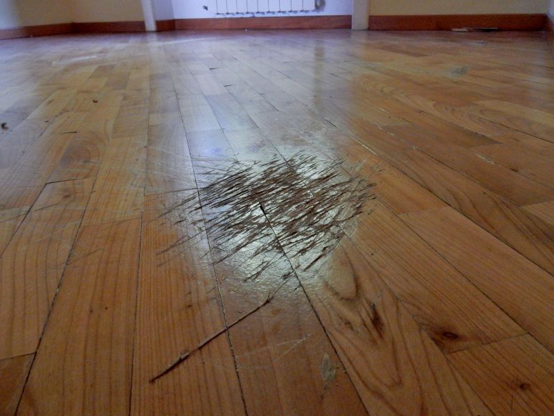 Birch Floor Refinishing in Olathe, KS